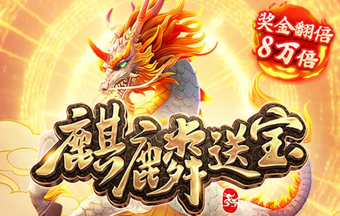 bibo必博体育官网